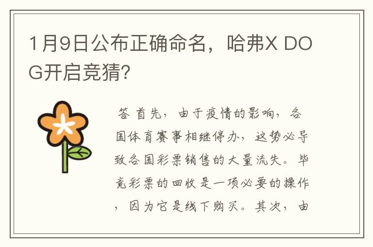 1月9日公布正确命名，哈弗X DOG开启竞猜？