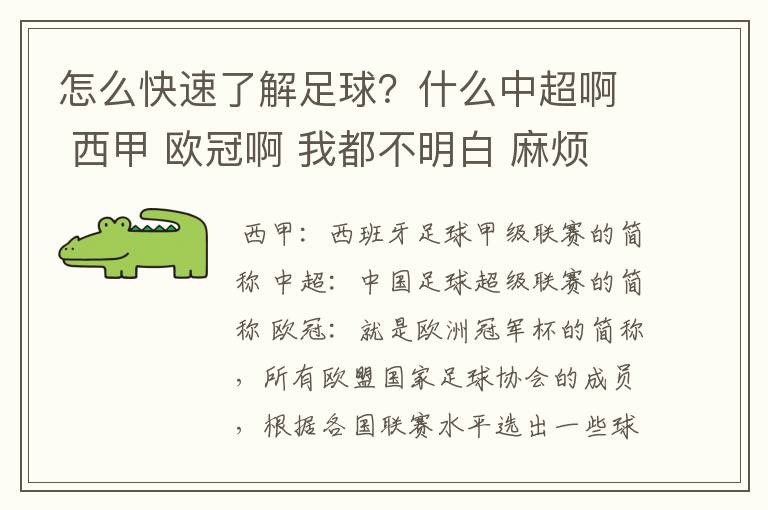 怎么快速了解足球？什么中超啊 西甲 欧冠啊 我都不明白 麻烦 有哪位特别了解足球的 跟我讲讲，多谢