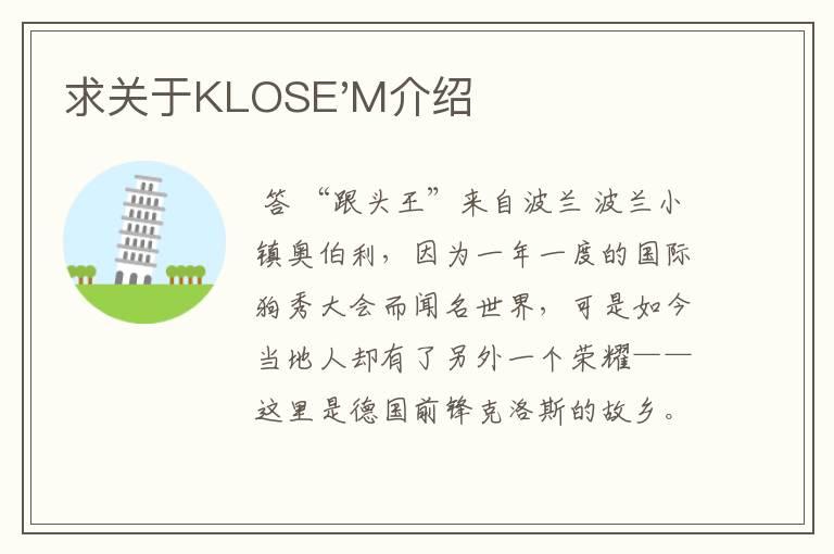 求关于KLOSE'M介绍