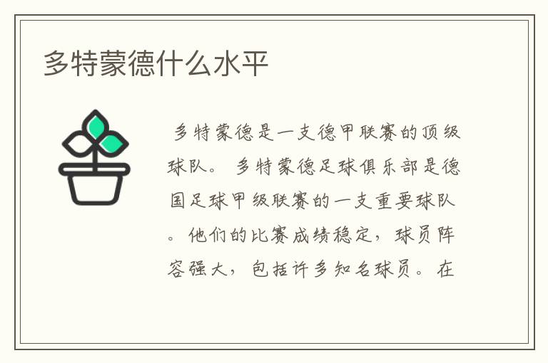 多特蒙德什么水平