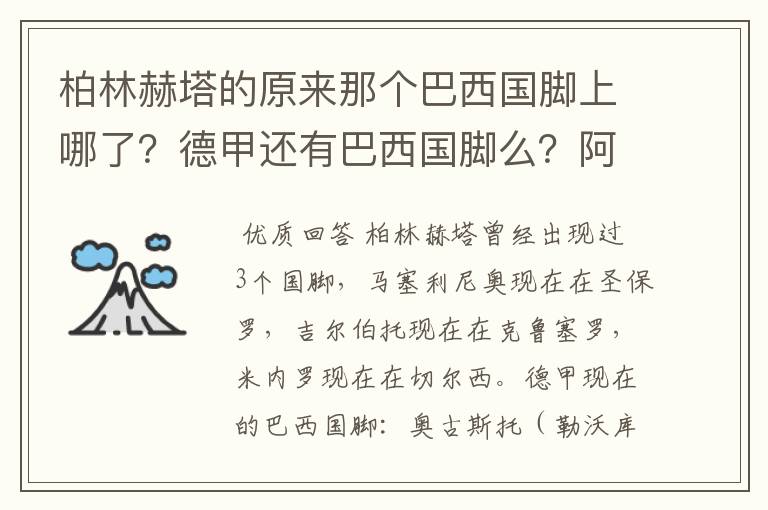 柏林赫塔的原来那个巴西国脚上哪了？德甲还有巴西国脚么？阿根廷国脚呢？