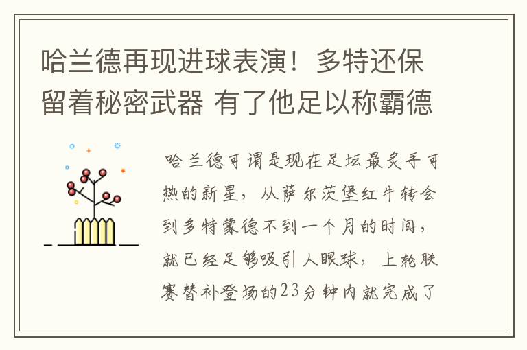 哈兰德再现进球表演！多特还保留着秘密武器 有了他足以称霸德甲