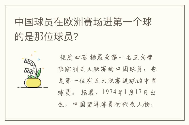 中国球员在欧洲赛场进第一个球的是那位球员？