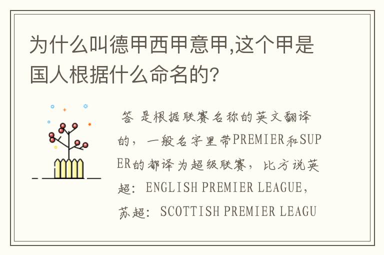 为什么叫德甲西甲意甲,这个甲是国人根据什么命名的?