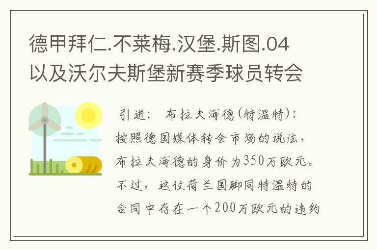 德甲拜仁.不莱梅.汉堡.斯图.04以及沃尔夫斯堡新赛季球员转会一览