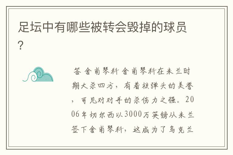 足坛中有哪些被转会毁掉的球员？