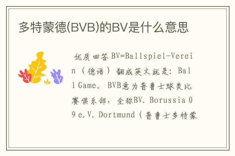 多特蒙德(BVB)的BV是什么意思