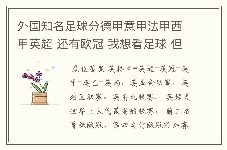 外国知名足球分德甲意甲法甲西甲英超 还有欧冠 我想看足球 但不知道怎么分辨他们怎么进行比赛的