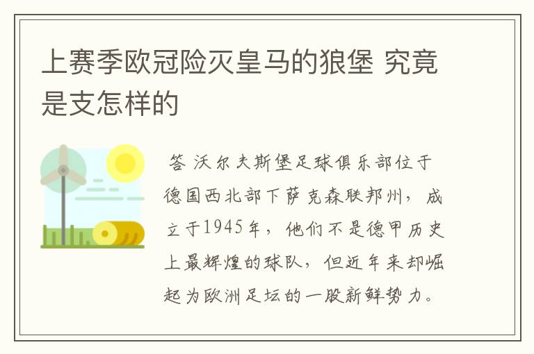 上赛季欧冠险灭皇马的狼堡 究竟是支怎样的