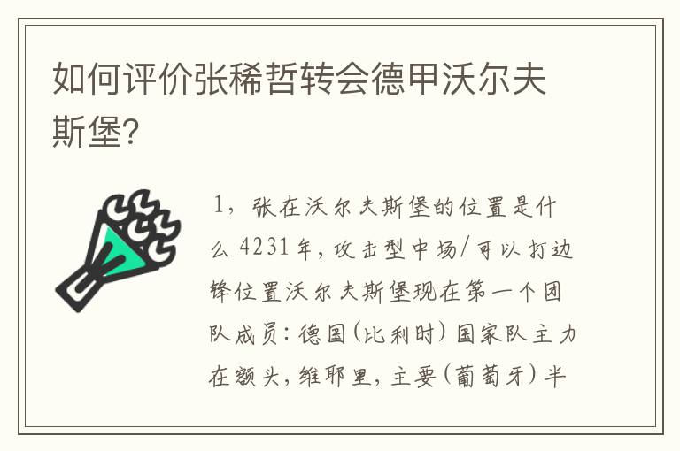 如何评价张稀哲转会德甲沃尔夫斯堡？