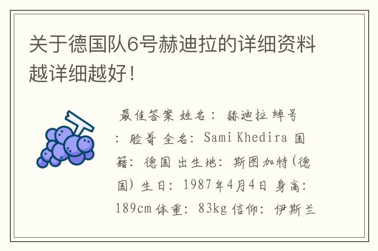 关于德国队6号赫迪拉的详细资料越详细越好！