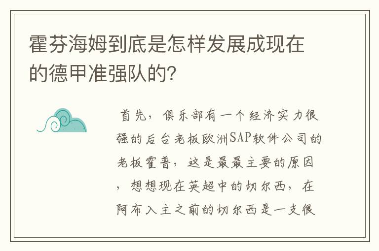 霍芬海姆到底是怎样发展成现在的德甲准强队的？