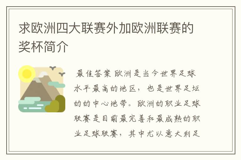 求欧洲四大联赛外加欧洲联赛的奖杯简介