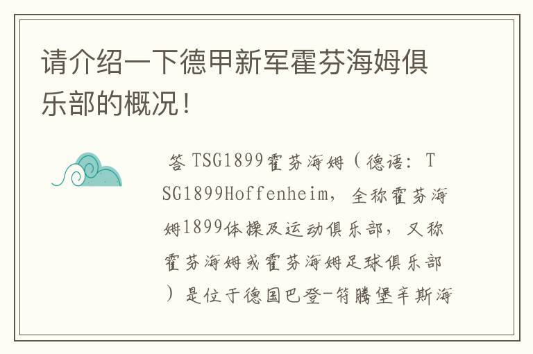 请介绍一下德甲新军霍芬海姆俱乐部的概况！