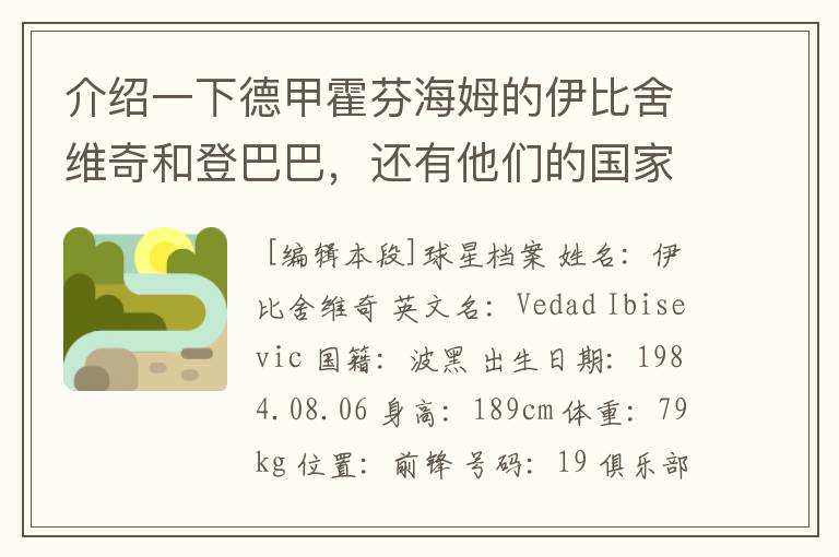 介绍一下德甲霍芬海姆的伊比舍维奇和登巴巴，还有他们的国家队履历