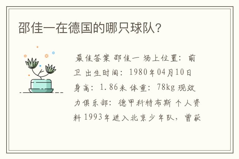 邵佳一在德国的哪只球队?