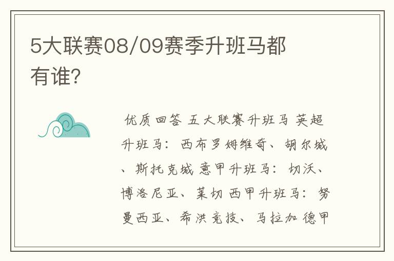 5大联赛08/09赛季升班马都有谁？