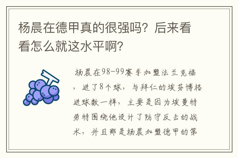 杨晨在德甲真的很强吗？后来看看怎么就这水平啊？