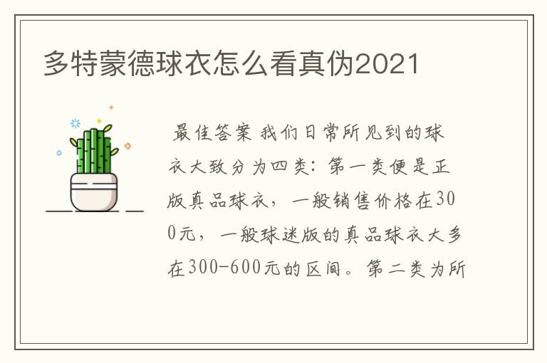 多特蒙德球衣怎么看真伪2021