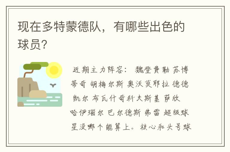 现在多特蒙德队，有哪些出色的球员？