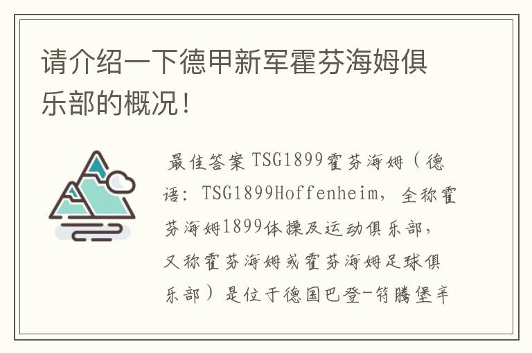 请介绍一下德甲新军霍芬海姆俱乐部的概况！