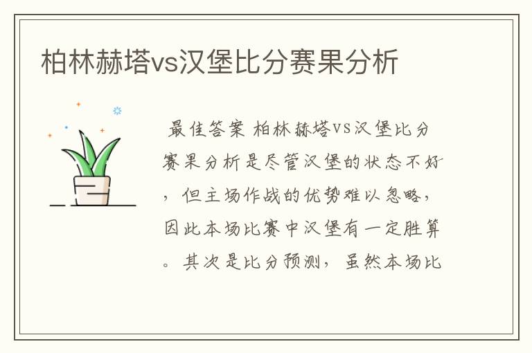 柏林赫塔vs汉堡比分赛果分析