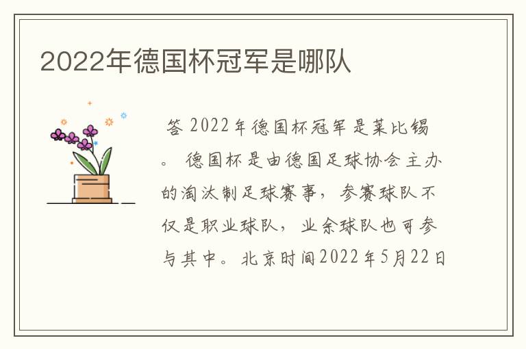 2022年德国杯冠军是哪队