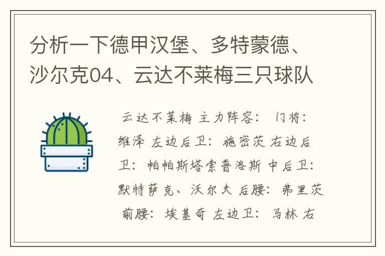 分析一下德甲汉堡、多特蒙德、沙尔克04、云达不莱梅三只球队的人员打法和阵型