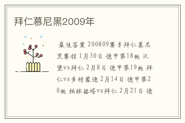 拜仁慕尼黑2009年