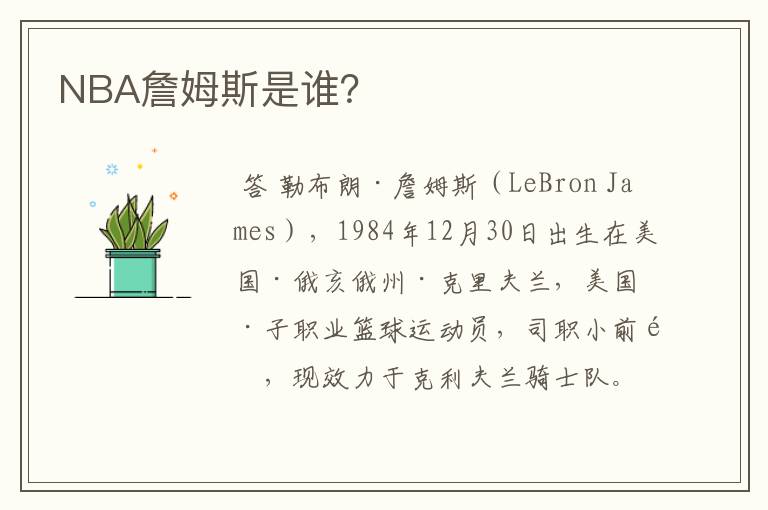 NBA詹姆斯是谁？