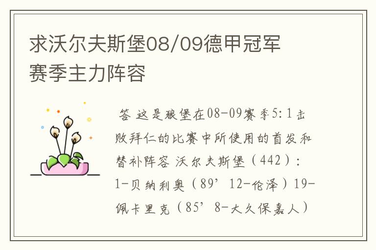 求沃尔夫斯堡08/09德甲冠军赛季主力阵容