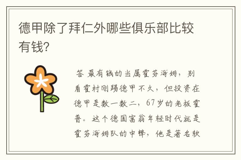 德甲除了拜仁外哪些俱乐部比较有钱？