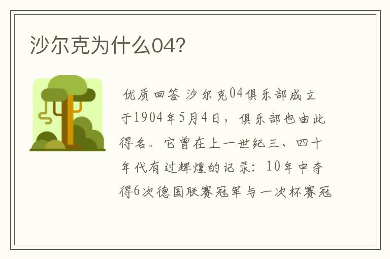 沙尔克为什么04？