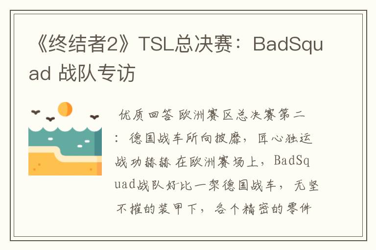 《终结者2》TSL总决赛：BadSquad 战队专访