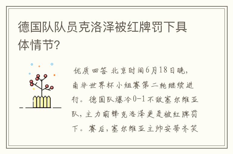 德国队队员克洛泽被红牌罚下具体情节？