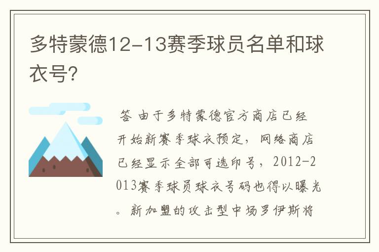 多特蒙德12-13赛季球员名单和球衣号？