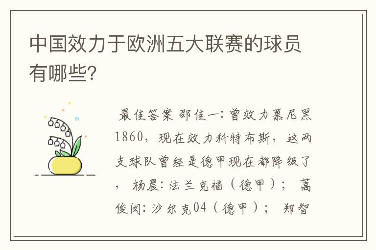 中国效力于欧洲五大联赛的球员有哪些？