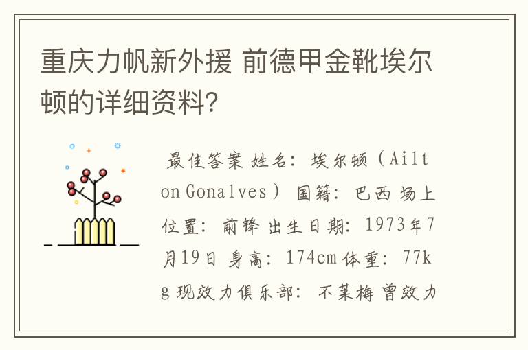 重庆力帆新外援 前德甲金靴埃尔顿的详细资料？