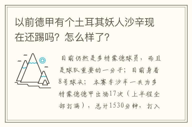 以前德甲有个土耳其妖人沙辛现在还踢吗？怎么样了？