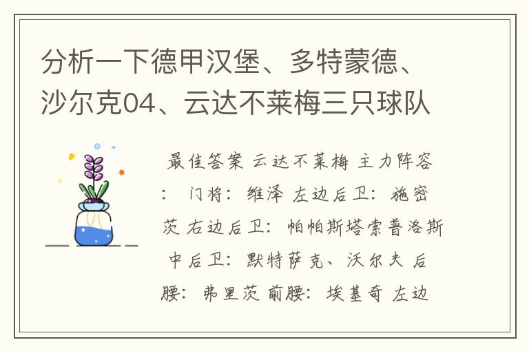 分析一下德甲汉堡、多特蒙德、沙尔克04、云达不莱梅三只球队的人员打法和阵型