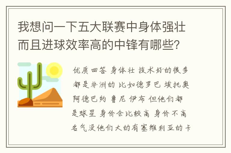 我想问一下五大联赛中身体强壮而且进球效率高的中锋有哪些？