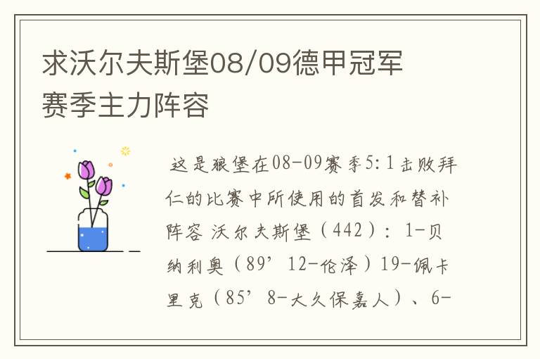 求沃尔夫斯堡08/09德甲冠军赛季主力阵容