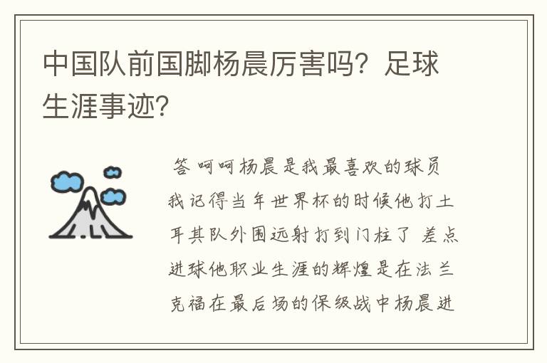 中国队前国脚杨晨厉害吗？足球生涯事迹？