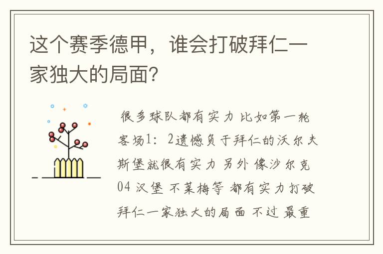 这个赛季德甲，谁会打破拜仁一家独大的局面？