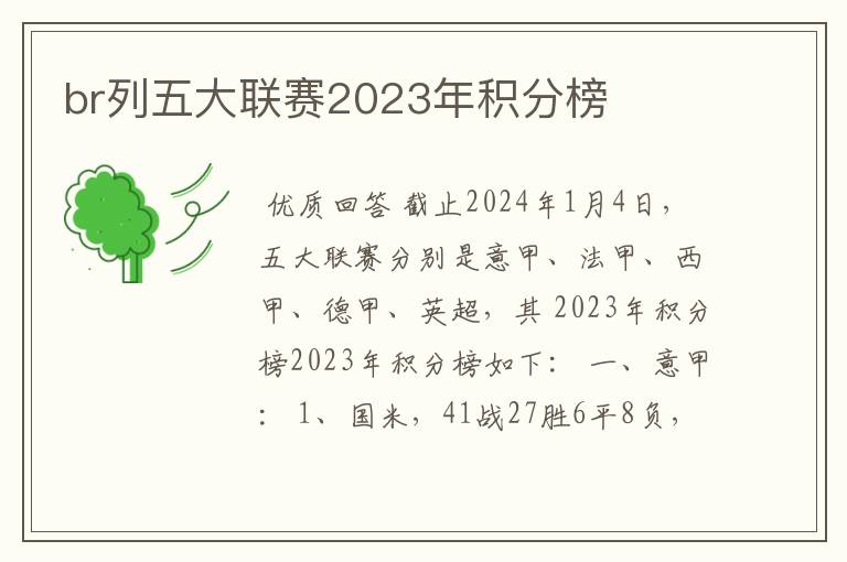 br列五大联赛2023年积分榜