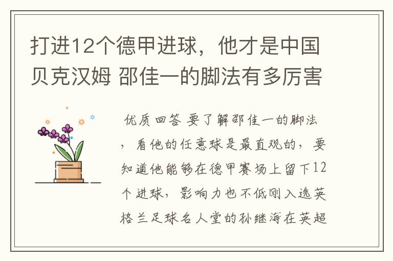 打进12个德甲进球，他才是中国贝克汉姆 邵佳一的脚法有多厉害