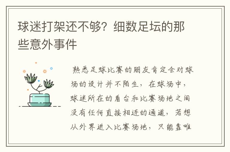 球迷打架还不够？细数足坛的那些意外事件