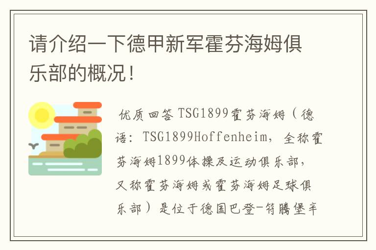 请介绍一下德甲新军霍芬海姆俱乐部的概况！