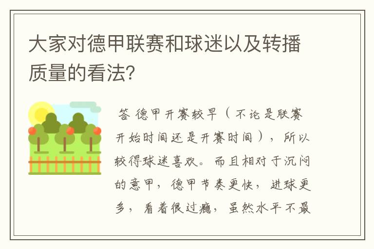 大家对德甲联赛和球迷以及转播质量的看法？