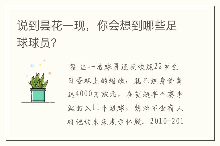 说到昙花一现，你会想到哪些足球球员？